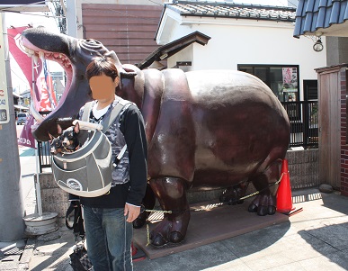 動物カバ.jpg