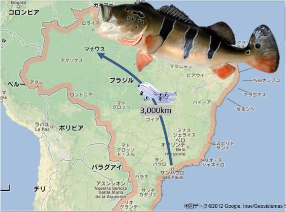マナウスへ.JPG