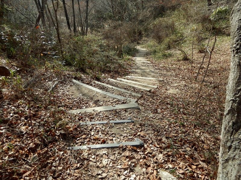 長谷池へ2
