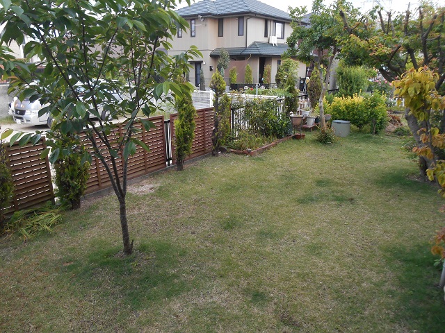 DSCN0421.JPG