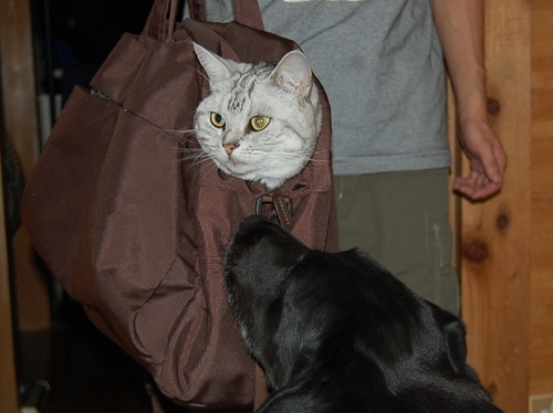 DSC_0229.JPG