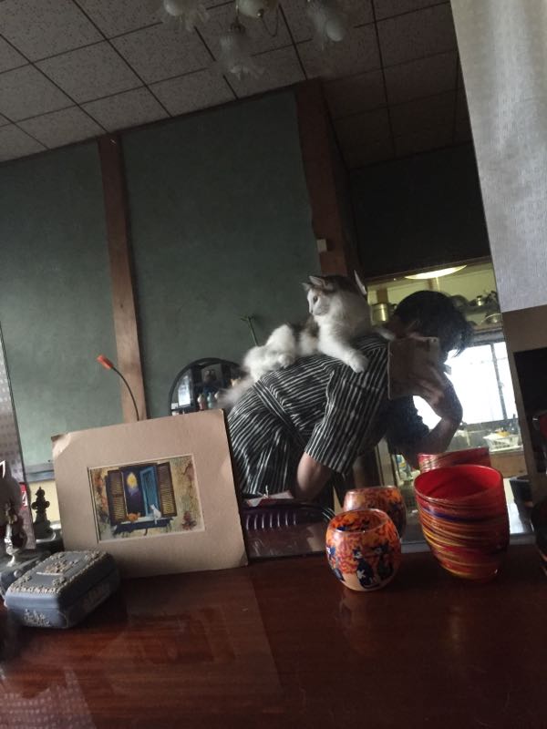 rblog-20150811092500-02.jpg