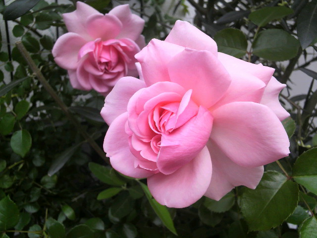 2012-04-20 14:46:37