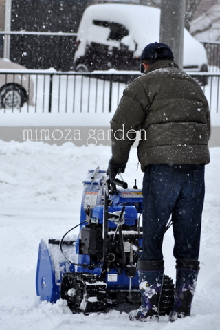 弟くんと除雪機