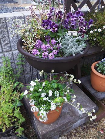 もうひとつの寄せ植え