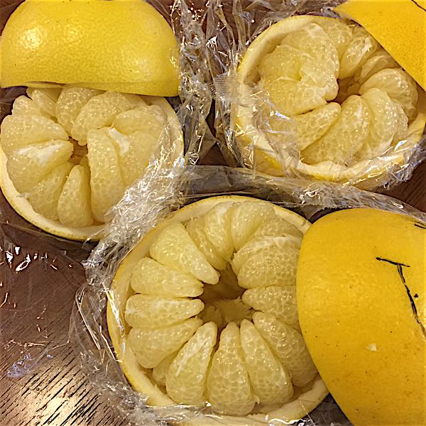 rblog-20160221112540-01.jpg