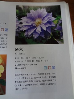 DSC01260.jpg