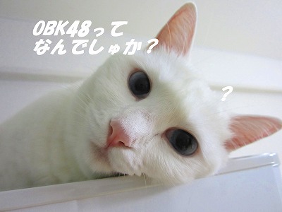 OBK４８ってなに？.jpg
