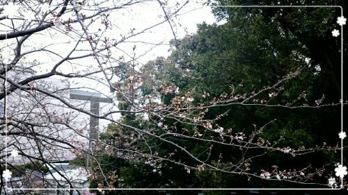rblog-20190322214936-01.jpg