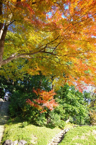 小石川後楽園