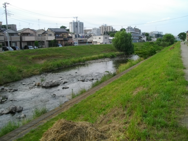 黒目川　＆　スーパーセール商品 034.JPG