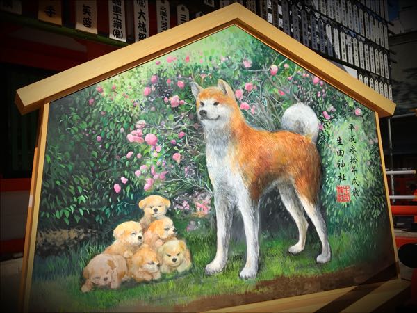 rblog-20180116220619-01.jpg