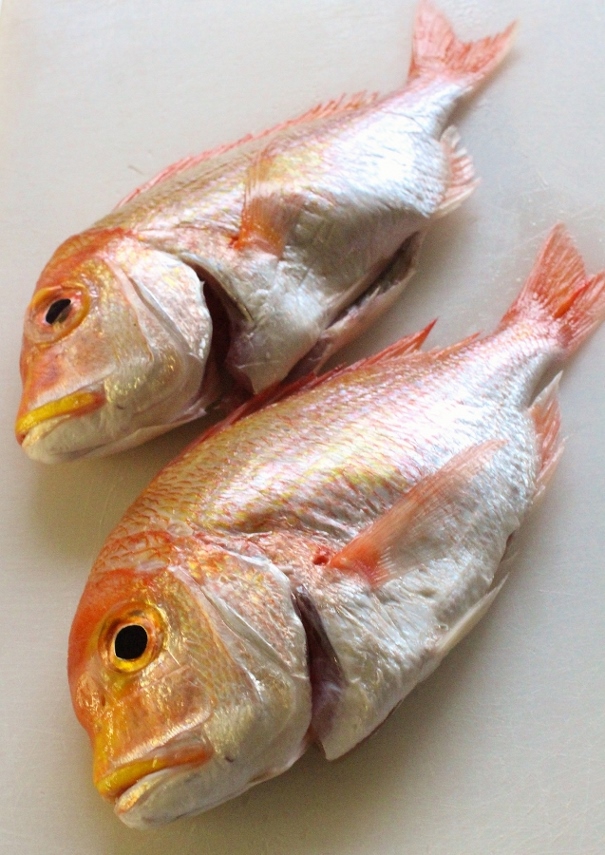 連子鯛.jpg
