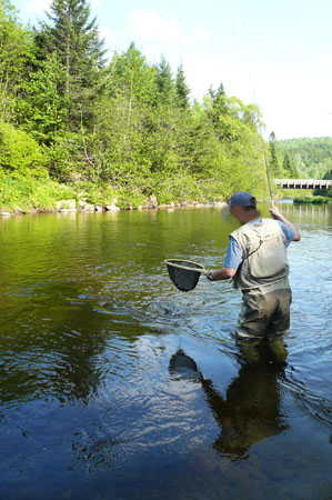 river02.jpg