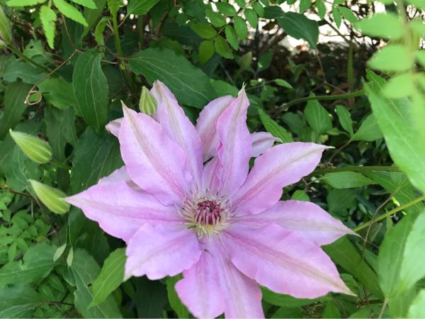rblog-20190423182021-00.jpg