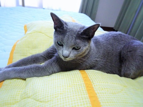 P1240637 - コピー.JPG