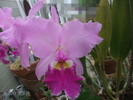 2017_06110015.jpg