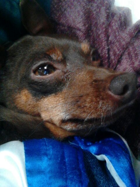rblog-20141228181716-03.jpg