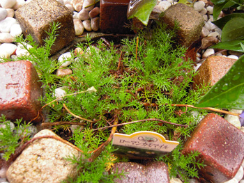 130424-2.jpg