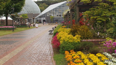 P4300855.JPG