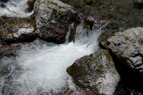 _DSC4251.JPG