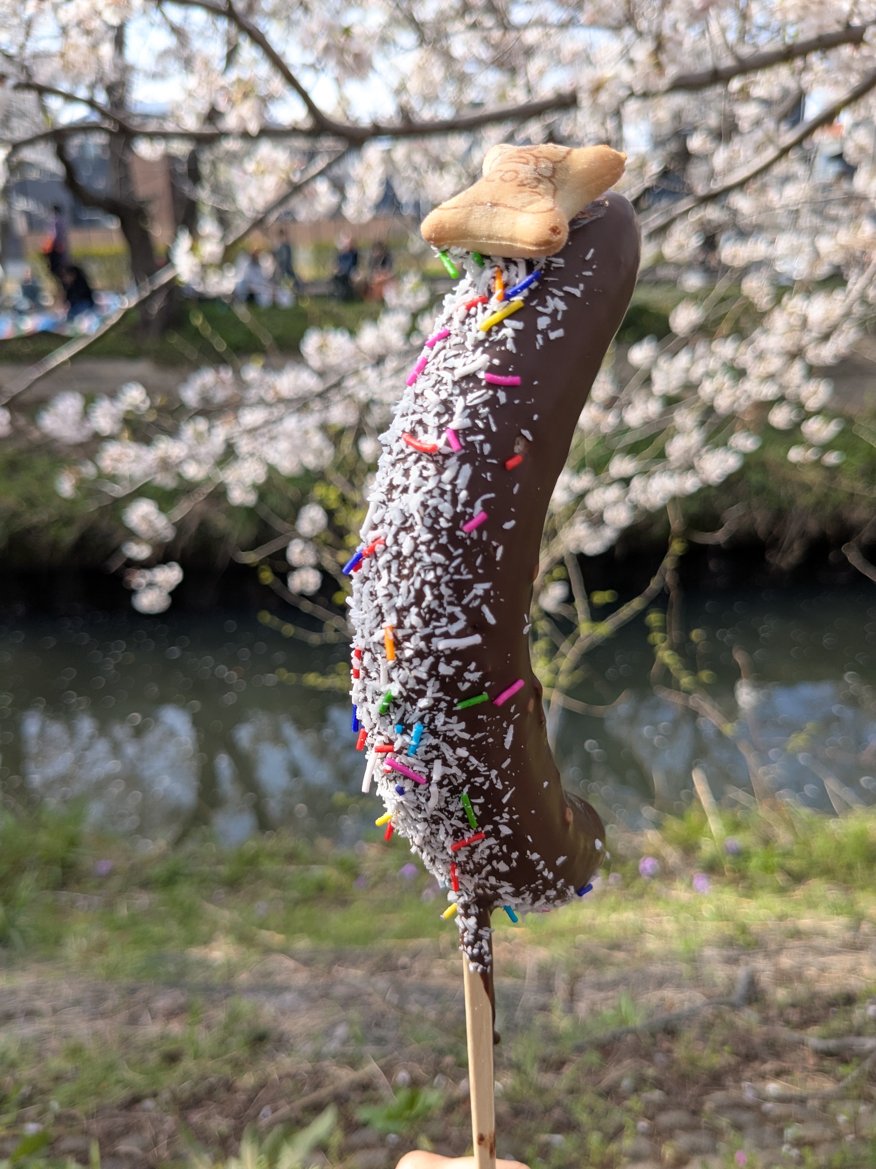 2025年　千葉県船橋市　海老川花見 屋台のチョコバナナ