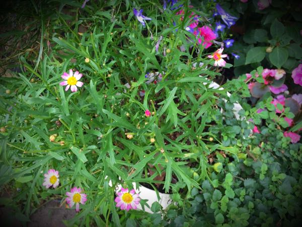 rblog-20160625182717-03.jpg