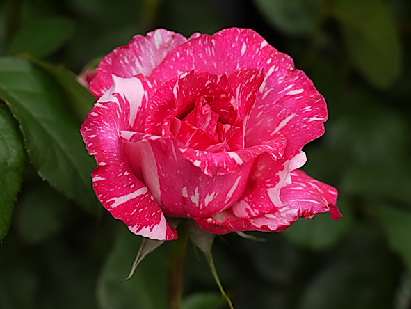 モダン・タイムズ