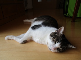 IMG_9818ss.jpg