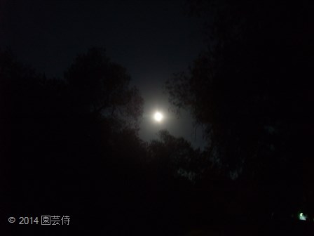 サンディエゴの満月　20140811