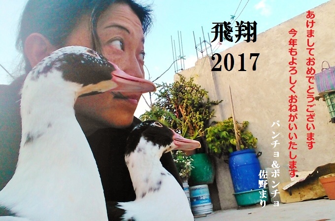 御挨拶2017　佐野まり