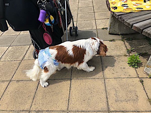 rblog-20180423141141-06.jpg
