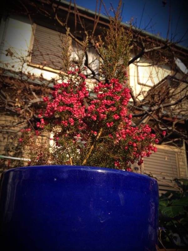 rblog-20141231140827-00.jpg