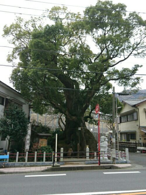 rblog-20170412232554-01.jpg