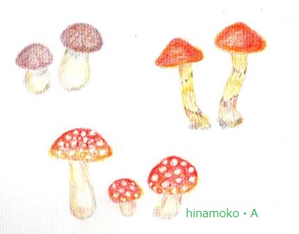 キノコｓ.jpg
