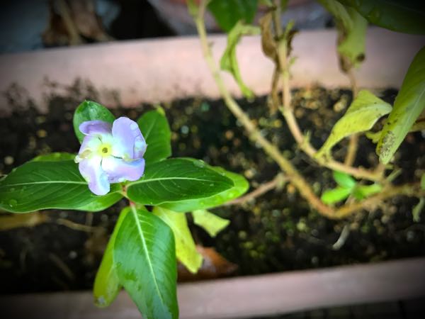 rblog-20161129163332-03.jpg