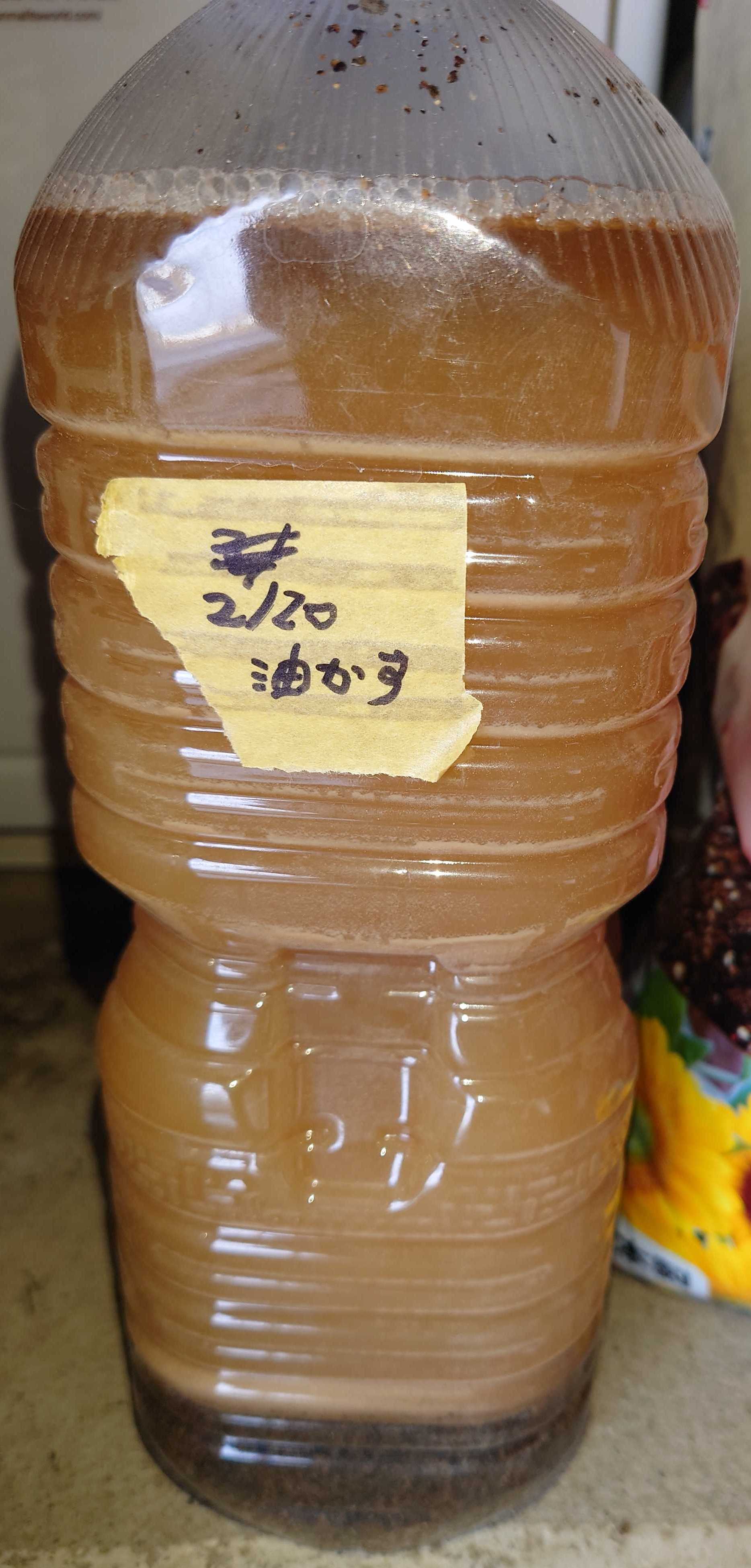 臭くない油かす液肥を作りたい 22日目 2023/3/13 | 50歳おばちゃんゆるダイエットplusハーブや家庭菜園の園芸plusぽめ ...