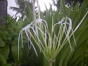 DSCN1551.JPG