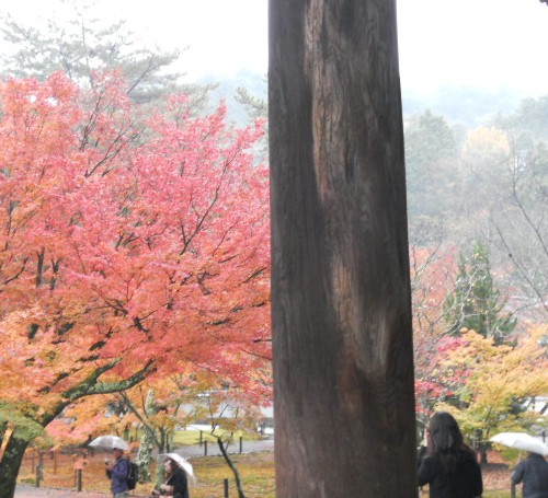 2012-11 南禅寺三門.jpg