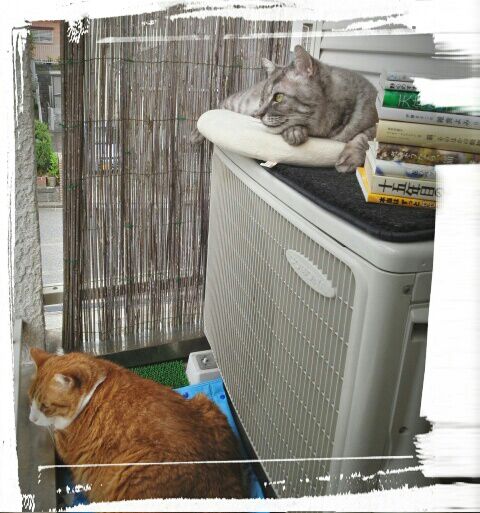 rblog-20140604171601-02.jpg