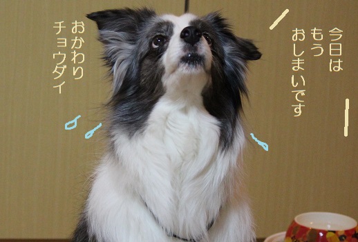 ちょうだい