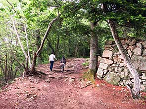 IMG_2463.jpg