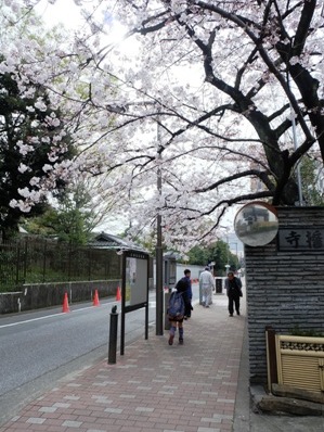DSCF2759.jpg