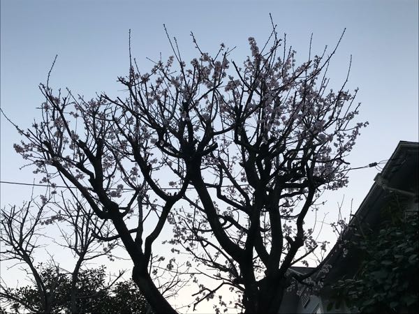 rblog-20180325191201-04.jpg