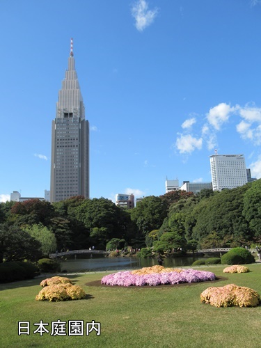 芝生上