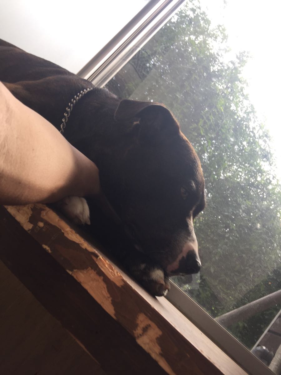 rblog-20180821133614-01.jpg