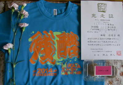140608mikatazankoku.jpg