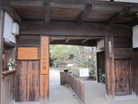 IMG_4961_R.JPG