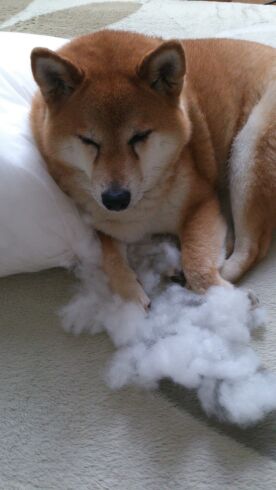 rblog-20140622112518-02.jpg