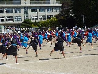 P1240826ss.jpg